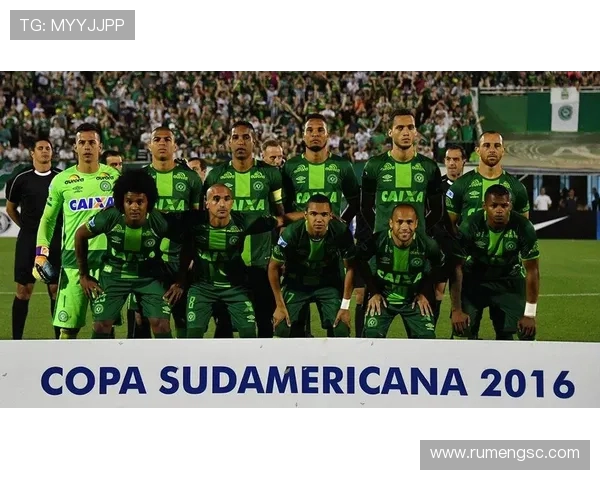 阿森纳全队将佩戴黑色臂章悼念前青训球员维加不幸离世