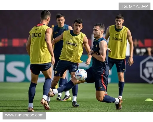 莱奥因健康原因未能参加葡萄牙国家队最新训练营将缺席接下来的集训